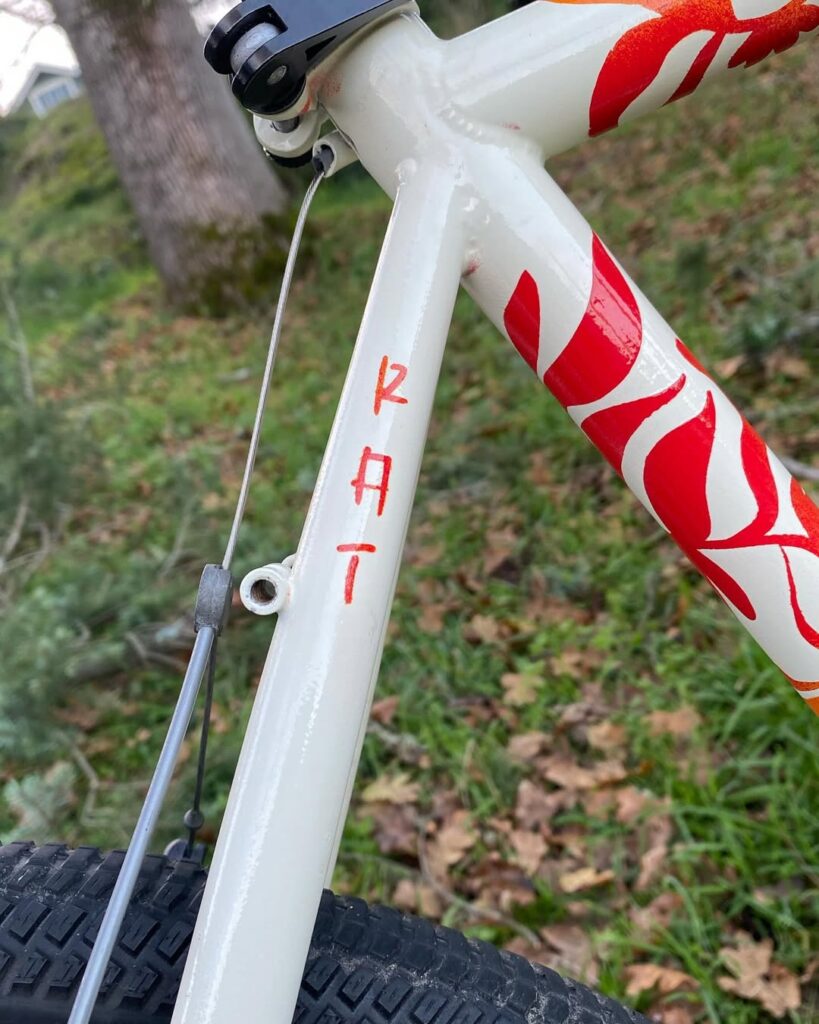 Laura’s Rockhopper