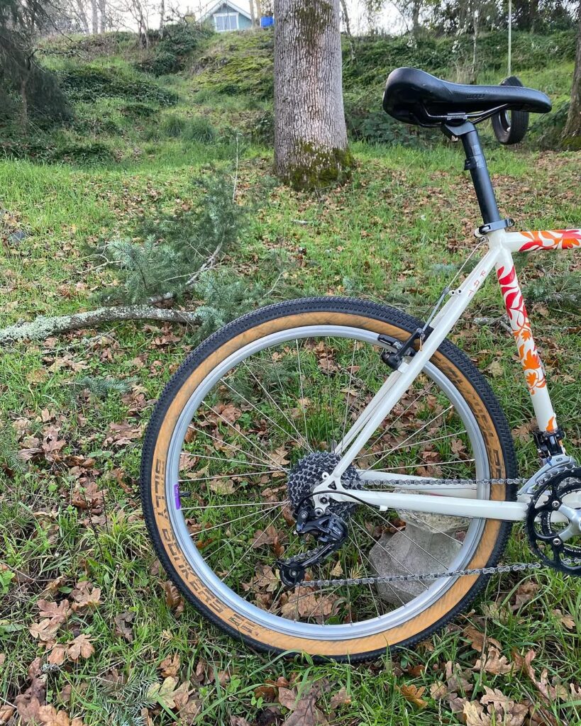 Laura’s Rockhopper