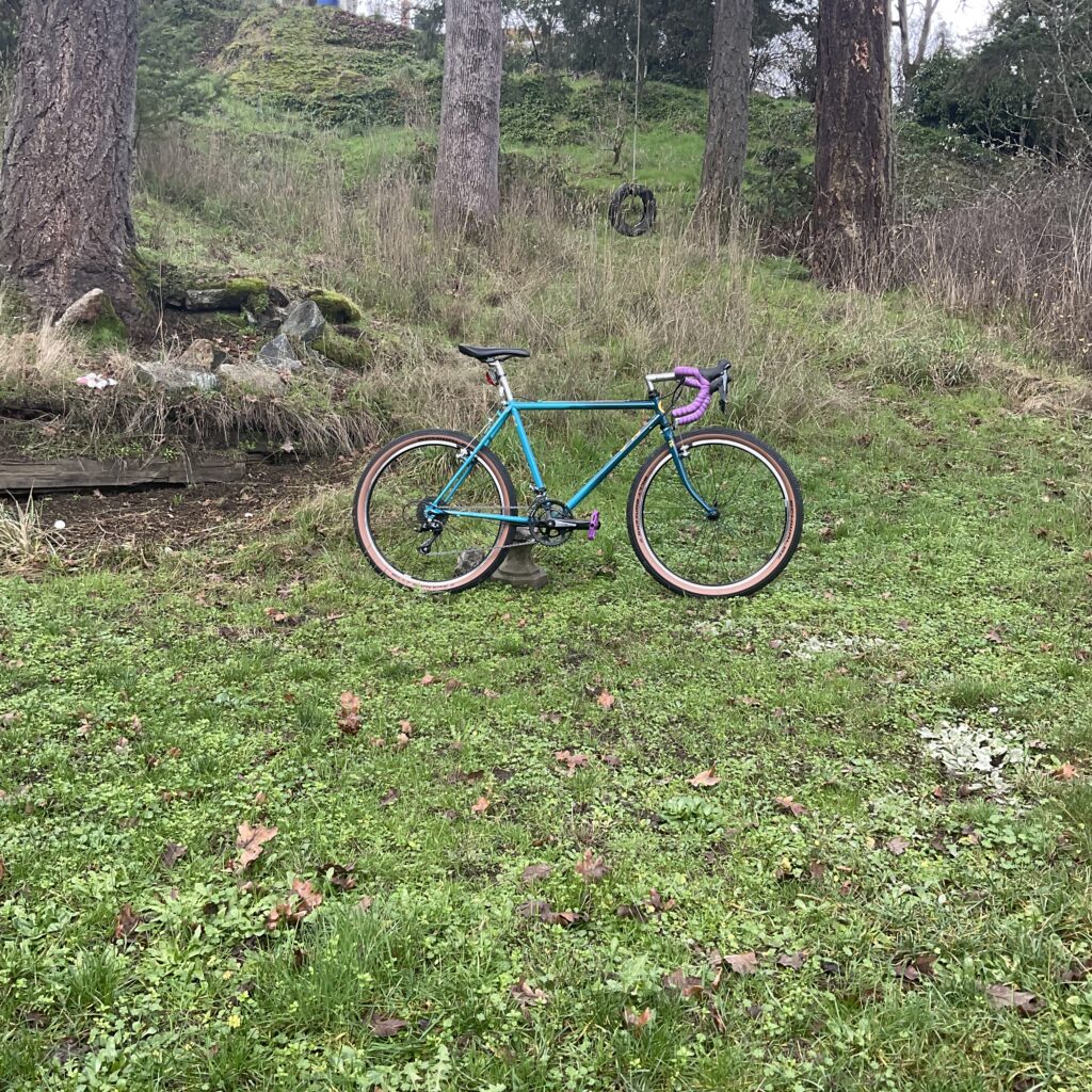 Joe’s Rat Bike (80s BRC)