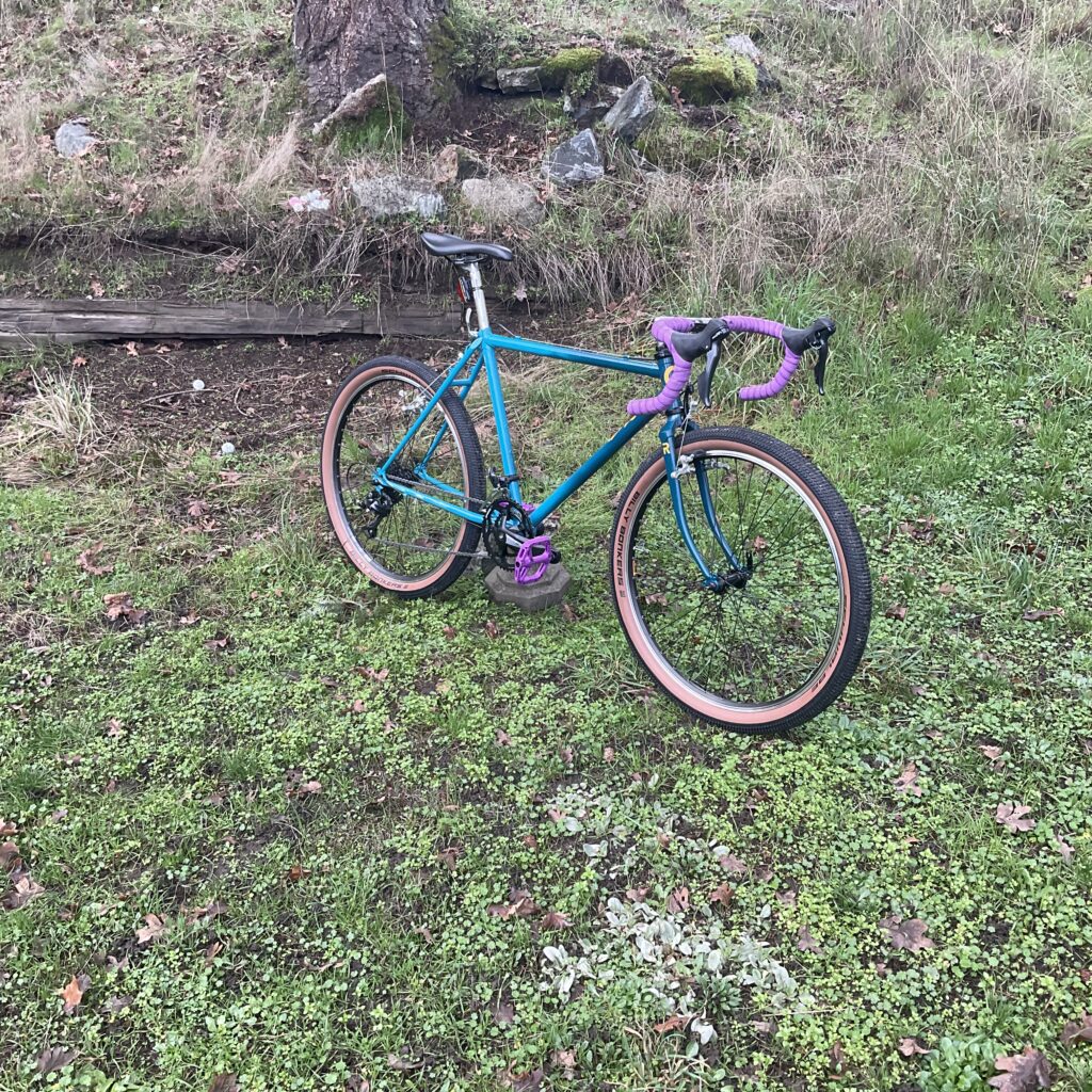 Joe’s Rat Bike (80s BRC)