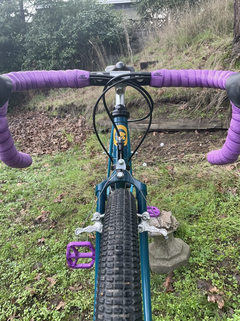 Joe’s Rat Bike (80s BRC)