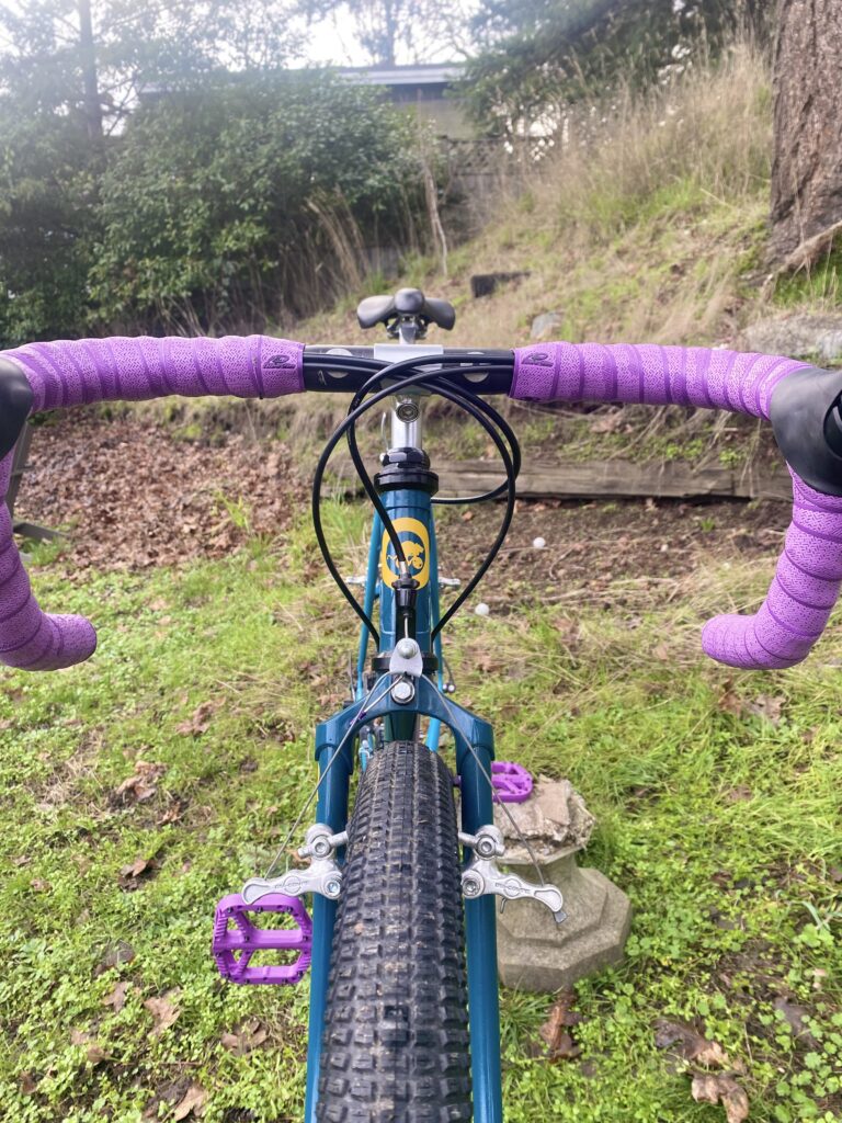 Joe’s Rat Bike (80s BRC)