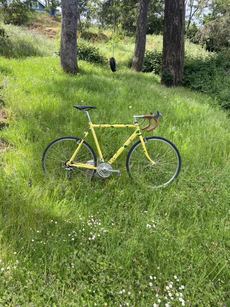 Cannondale 600