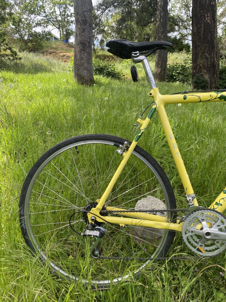 Cannondale 600