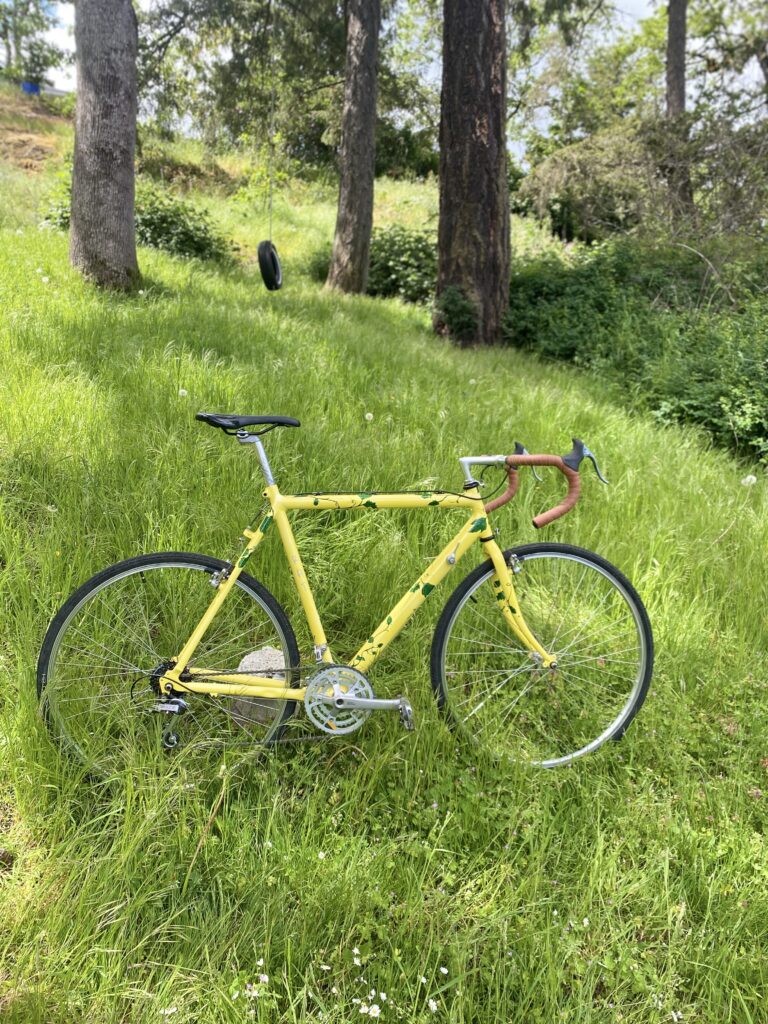 Cannondale 600